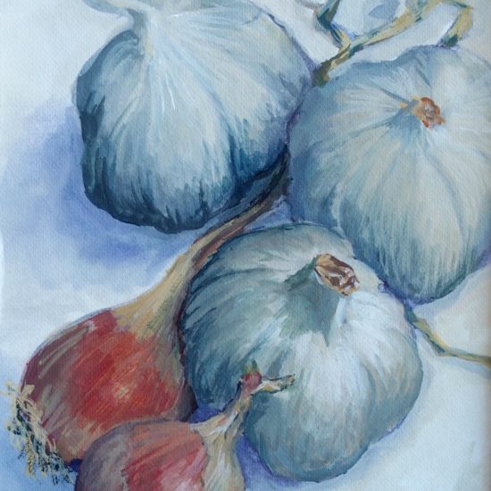 Nature morte représentant de l’ail et des échalotes peints à la gouache, dans une lumière douce.