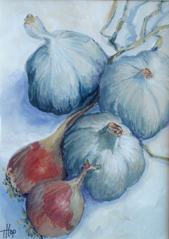 Nature morte représentant de l’ail et des échalotes peints à la gouache, dans une lumière douce.
