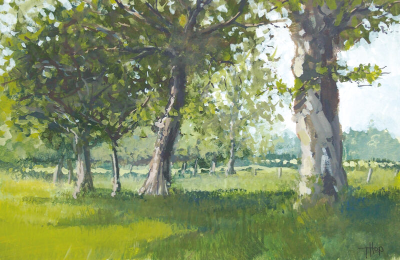 Gouache représentant un sous-bois lumineux à Saint-Michel-des-Loups, en Normandie.